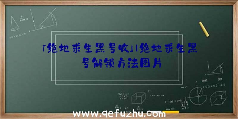 「绝地求生黑号收」|绝地求生黑号解锁方法图片